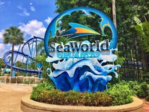 Морской мир Sea World