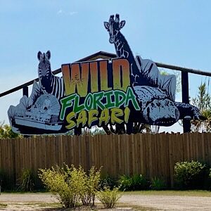 Сафари парк Wild Florida Safari